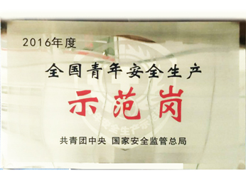 獲2016年度全國(guó)青年安全生產(chǎn)示范崗