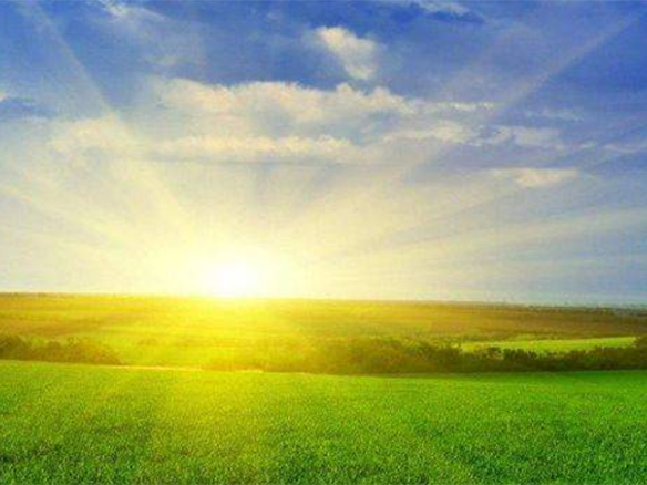 2020H1，錦州陽光戮力同心、運營達(dá)滿產(chǎn)